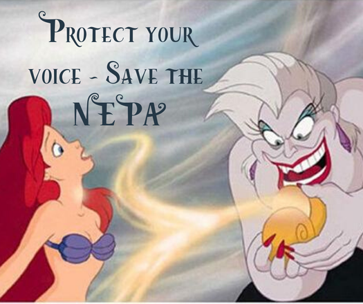 image of Protect Your Voice - Save the NEPA!